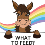 WHAT TO FEED?