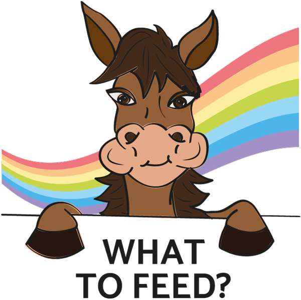 WHAT TO FEED?